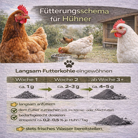 Futterkohle für Hühner 1,5 Kg